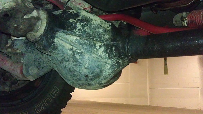 Checking My Gears-viesp.jpg