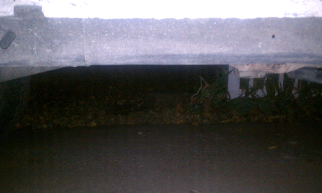 all muffler and exhaust questions go here!!!!!!-forumrunner_20111026_023628.jpg