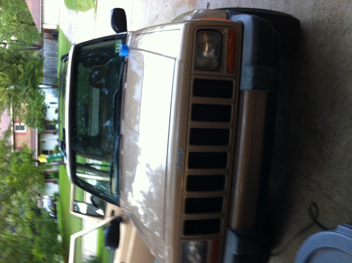 Texas Newbie-img_1130.jpg