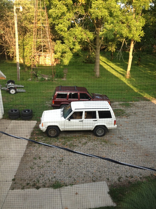 Newbie from indiana-image-1608387018.jpg