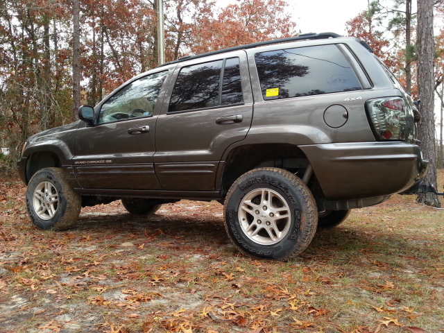 New guy from GA-99gcl.jpg