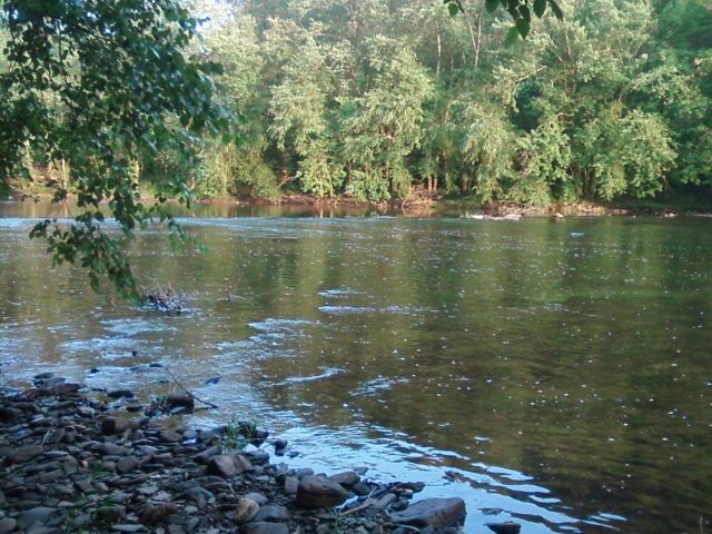 Hello from WV-0801121937.jpg