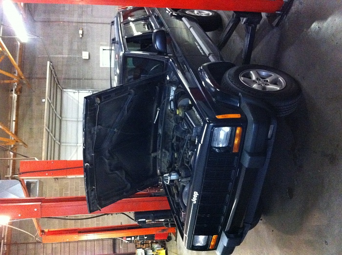 Newbie from AZ!-img_1588.jpg