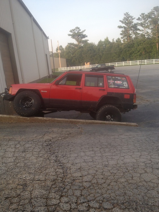 Fresh meat for the rocks!-image-4026389803.jpg