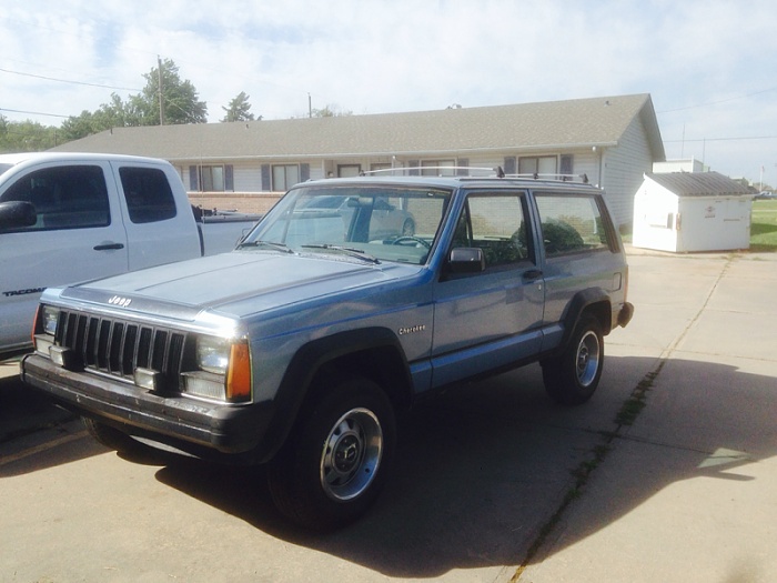 New Dude From McPherson-image-1336008507.jpg
