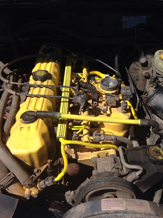 First Jeep!-image-1325106256.jpg
