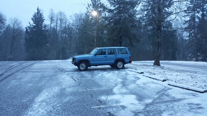 New from Western Washington-image-1626172482.jpg