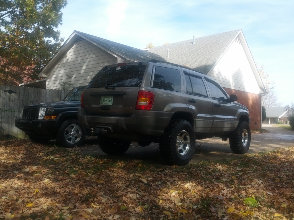 Name:  jeepback.jpg
Views: 23
Size:  304.5 KB