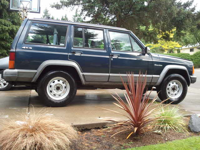Name:  NewbieJeep.jpg
Views: 22
Size:  49.3 KB
