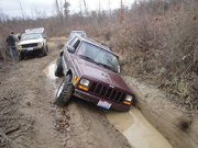 Name:  JeepStuck2.jpg
Views: 22
Size:  8.3 KB