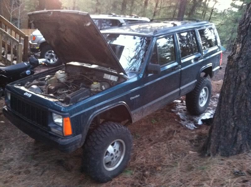 Name:  phwtgdsfoto.jpg
Views: 21
Size:  111.4 KB