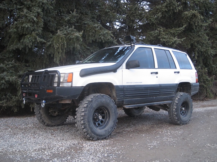 Newb from PA-zj-001.jpg