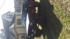 Coolnamehere's Avatar