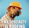 Roofologist's Avatar