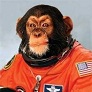 spacemonkey's Avatar