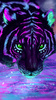 manderin's Avatar
