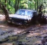 XJ's&AK's's Avatar