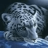 Tiger's Avatar