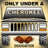 Dougster's Avatar
