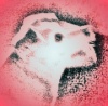 Beggin' Mutt's Avatar