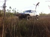 Wheelsup's Avatar